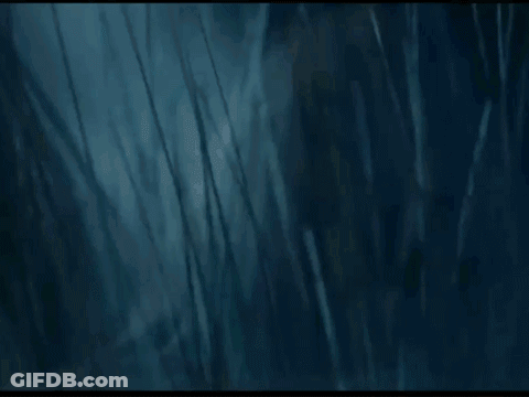 Bearded Man With Long Hair Lying Down GIF