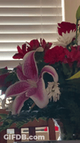 Bearded Man With Mustache Says You Speak For Yourself GIF