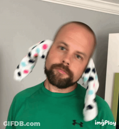 Bearded Man With Stuffed Animal On Head In Green Under Armour GIF