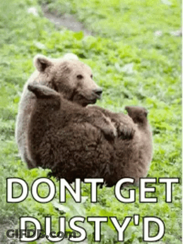 Bears Lying In Grass Don't Get Dusty GIF