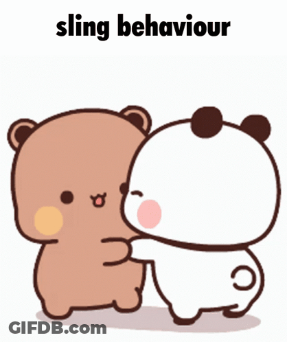 Bears Standing Next To Each Other Sling Behaviour GIF