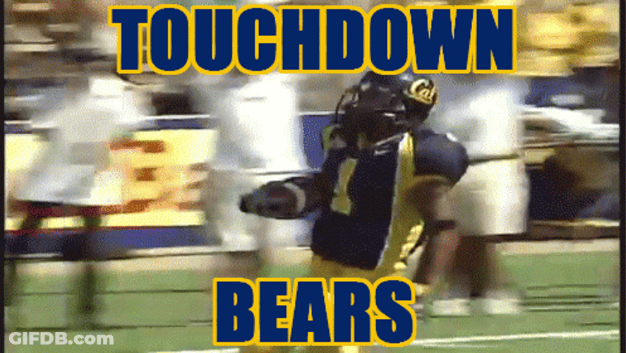Bears Touchdown Ickey Shuffle Celebration GIF