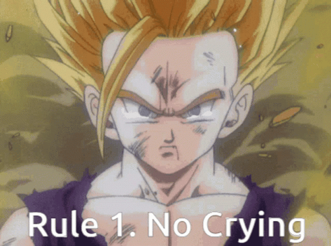 Beast Gohan Rule 1 No Crying GIF