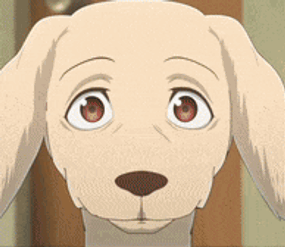 Beastars Dog GIF