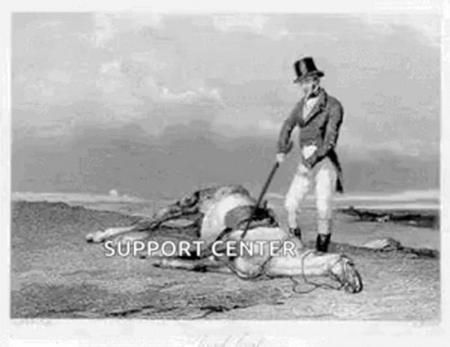 Beat A Dead Horse Support Center GIF