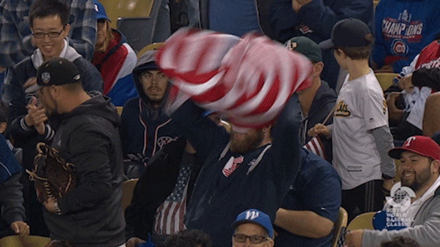 Beat La Excited Fan Waving USA Flag GIF