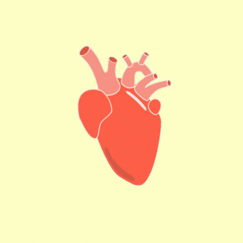 Beating Heart Pastel 3D Cartoon Pumping GIF
