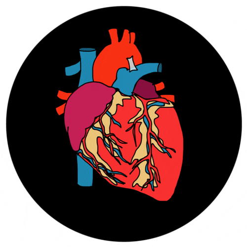 Beating Human Heart Colorful Animation GIF