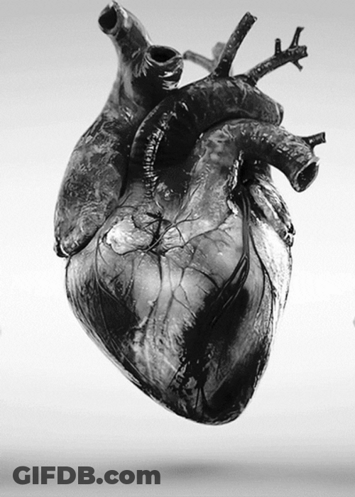 Beating Human Heart GIF
