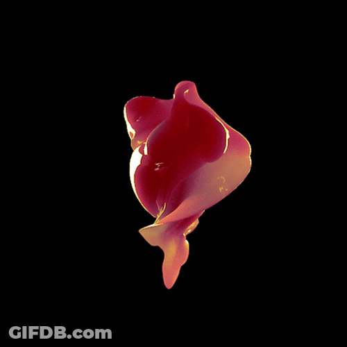 Beating Small Heart 3D Pumping Animation GIF