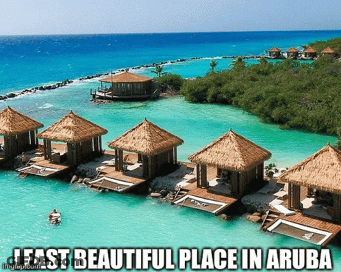 Beautiful Aruba Beach With Thatched Huts GIF