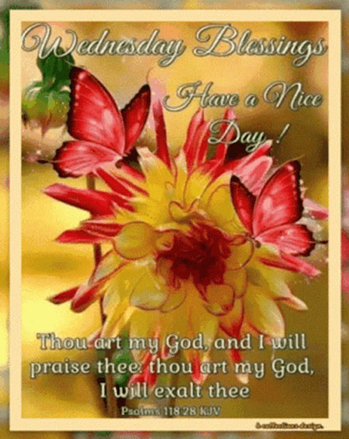 Beautiful Blessings Happy Wednesday Have A Nice Day GIF