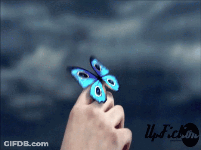 Beautiful Blue Flying Butterfly Hand GIF