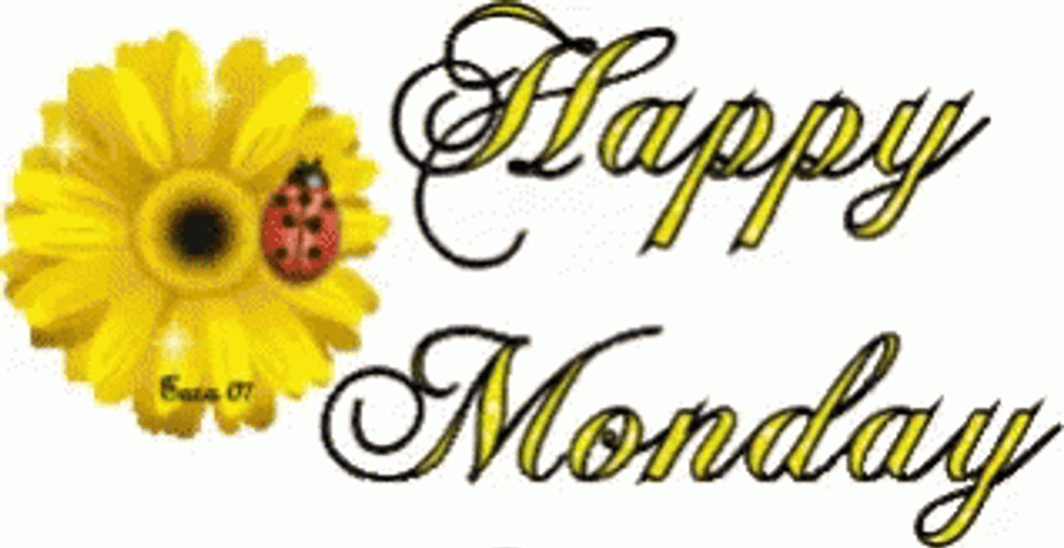 Beautiful Bug On Flower Happy Monday GIF