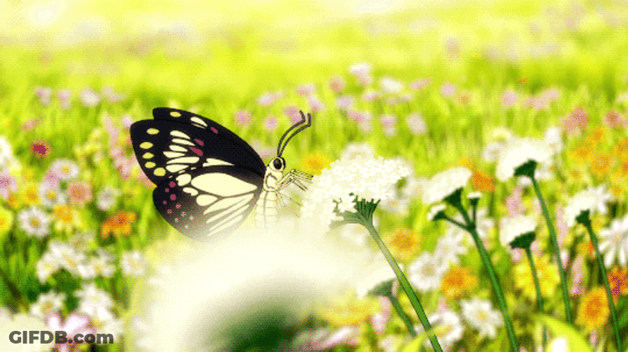 Beautiful Butterfly Anime Scenery GIF