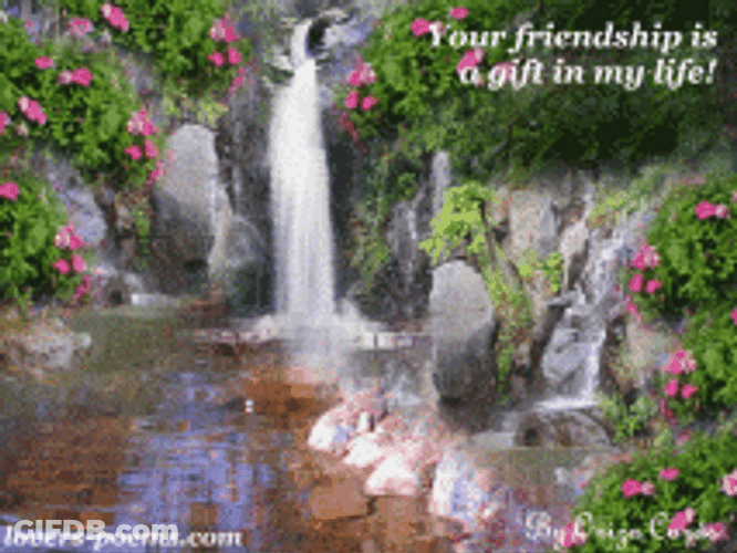Beautiful Calm Falls Online GIF