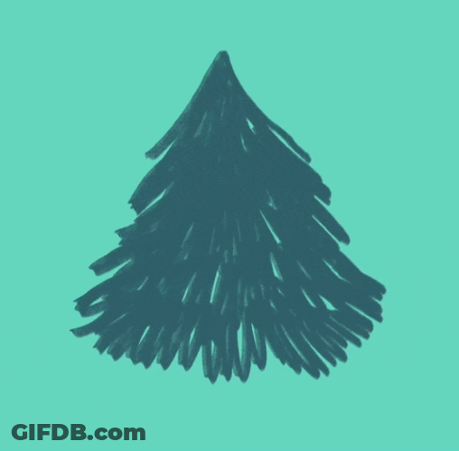 Beautiful Christmas Lights Merry Christmas GIF