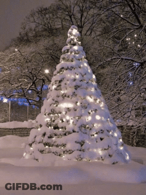 Beautiful Christmas Tree Covered In Snow GIF
