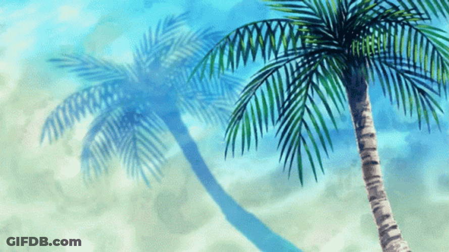 Beautiful Coconut Tree GIF