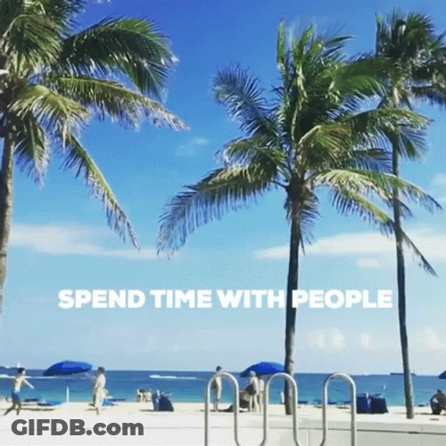 Beautiful Coconut Tree On The Beach GIF