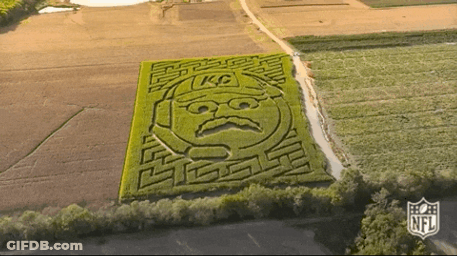 Beautiful Crop Maze GIF