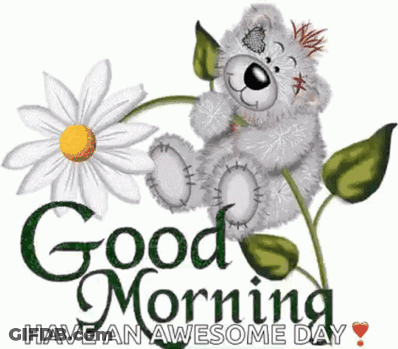 Beautiful Cute Good Morning Bear GIF