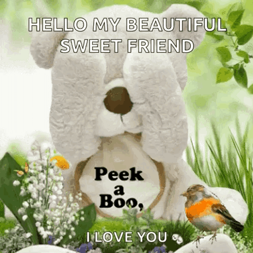 Beautiful Cute Good Morning Bear GIF