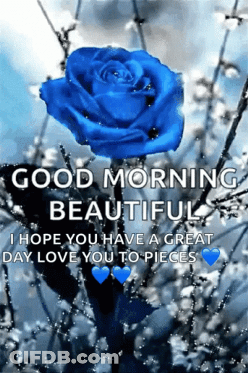 Beautiful Cute Good Morning Blue Rose GIF