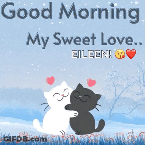 Beautiful Cute Good Morning Couple Cat GIF