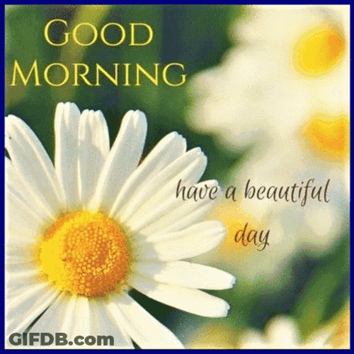 Beautiful Cute Good Morning Flowers GIF