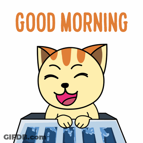 Beautiful Cute Good Morning Happy Cat GIF