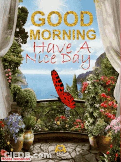 Beautiful Cute Good Morning Nice Day GIF