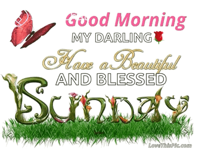Beautiful Cute Good Morning Sunday GIF