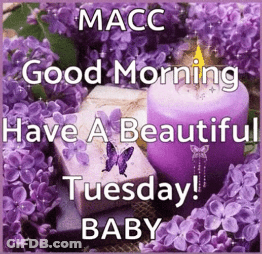 Beautiful Cute Good Morning Tuesday GIF