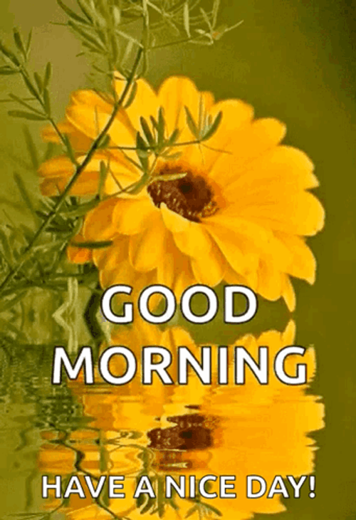 Beautiful Cute Good Morning Yellow Flower GIF