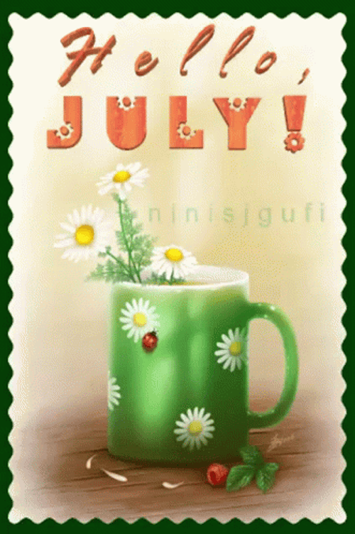 Beautiful Daisy Flower Hello July GIF
