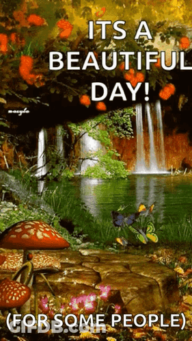 Beautiful Day For Some People GIF