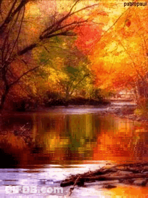 Beautiful Day Sunshine GIF