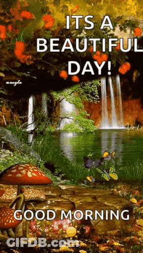 Beautiful Day With Waterfall And Mushrooms GIF