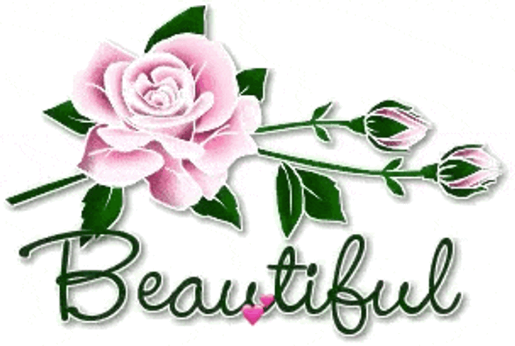 Beautiful Flower GIF