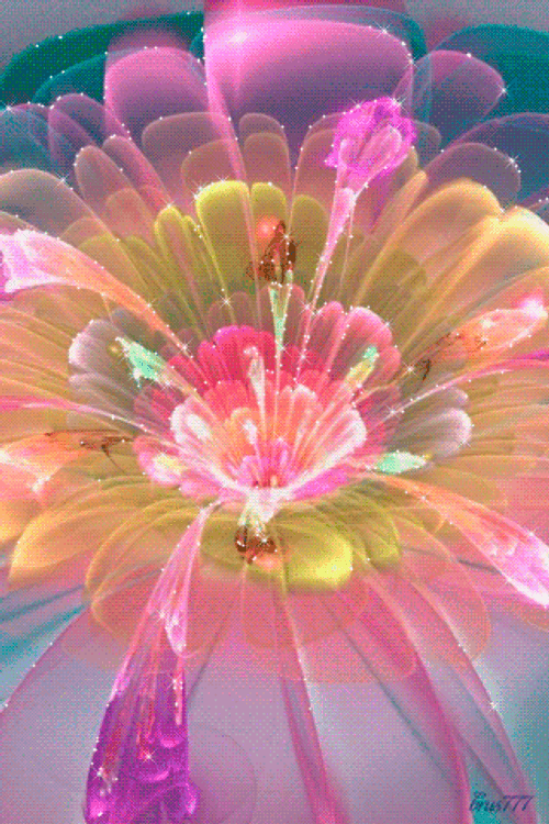 Beautiful Flowers Fractal Everywhere GIF