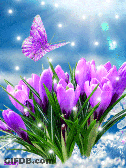 Beautiful Flowers Glowing Autumn Crocus GIF