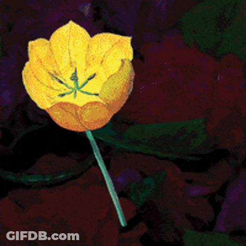 Beautiful Flowers Glowing Luminous GIF