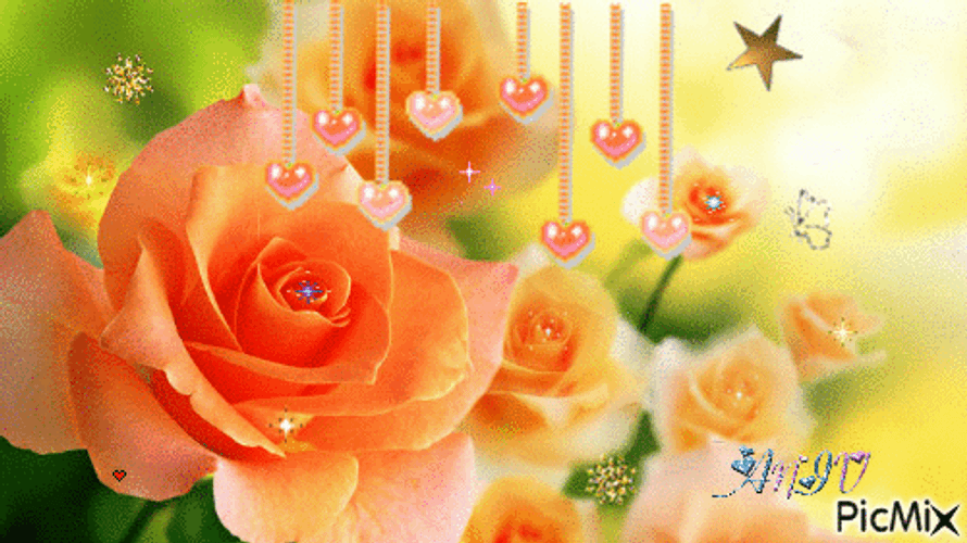 Beautiful Flowers Orange Roses Hearts GIF