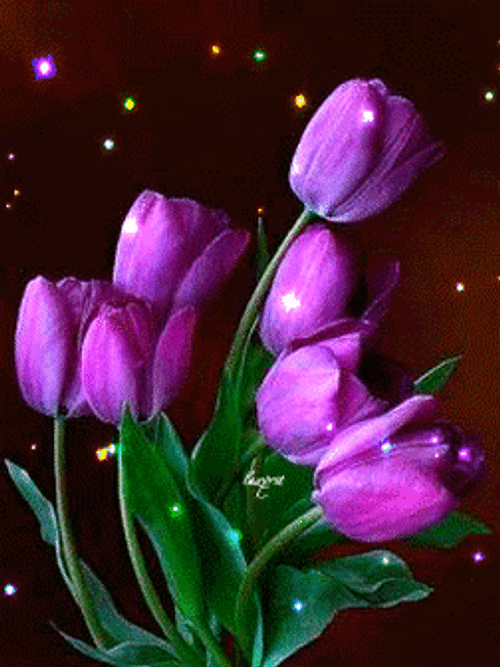 Beautiful Flowers Purple Tulips Sparkling GIF
