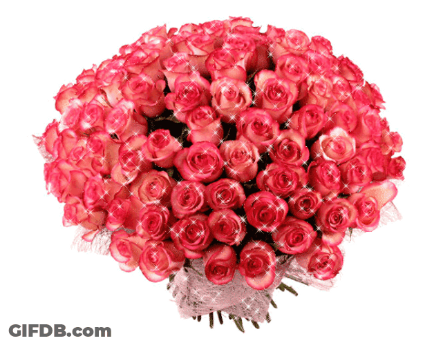 Beautiful Flowers Red Sparkling Roses GIF