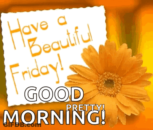 Beautiful Friday Morning GIF