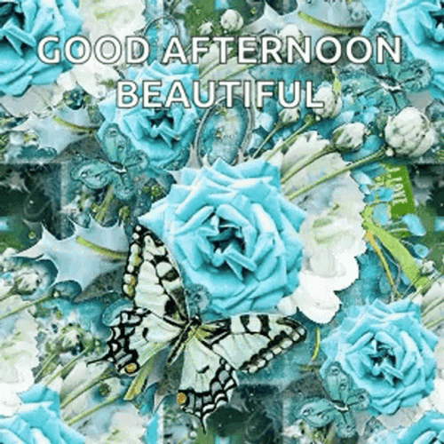 Beautiful Good Afternoon Aqua Blue Flowers GIF