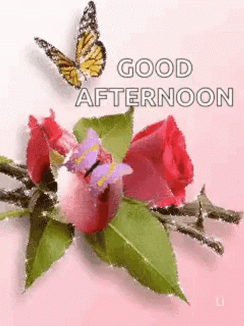 Beautiful Good Afternoon Glitter Butterflies GIF