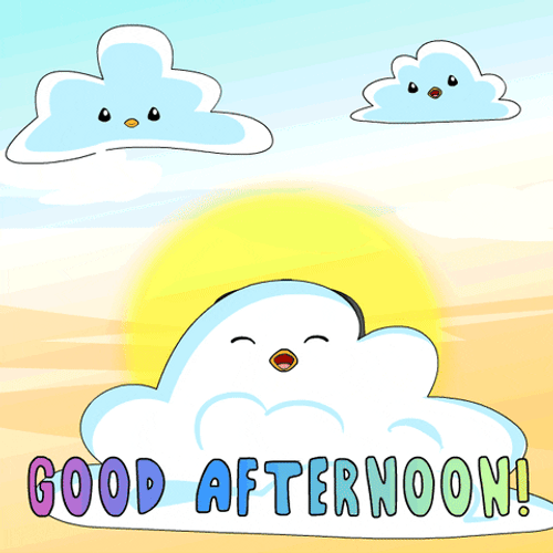 Beautiful Good Afternoon Pudgy Penguin GIF